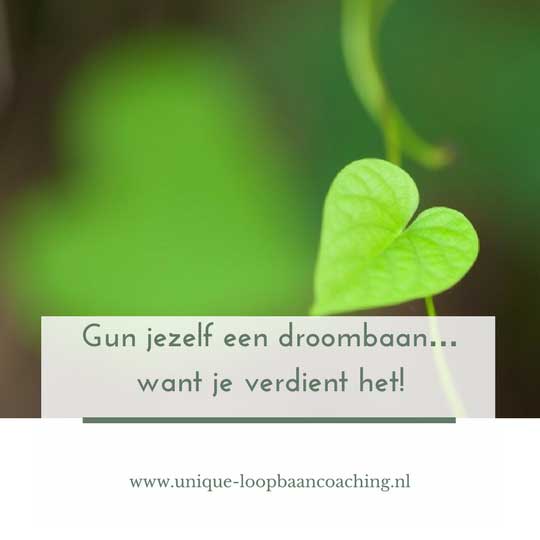 gun jezelf een droombaan Gun jezelf een droombaan