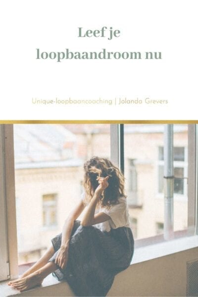 Leef je loopbaandroom nu-2 leef je droombaan nu